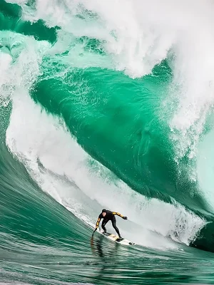 MIND OVER MONSTER - SURF #62