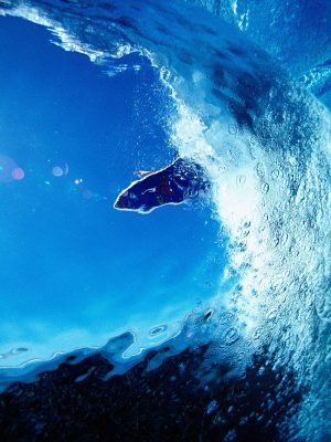 LIP LAUNCH - SURF #1