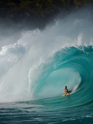 WAIMEA MASTERPIECE - SURF #35