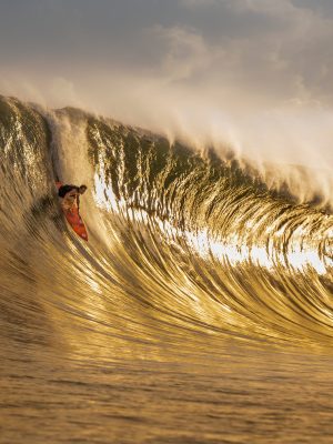 GOLDEN GLORY - SURF #42