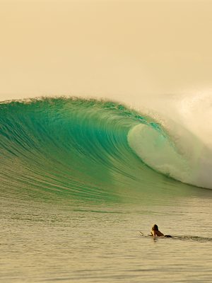 MORNING GLORY - SURF #55