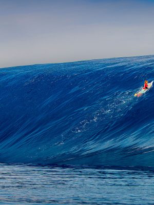 GLASSY MONSTER - SURF #58