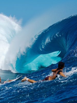 'IMPACT ZONE' SURF #59