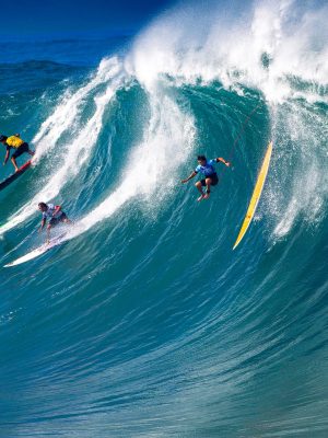 LEGENDS IN MOTION - SURF #89