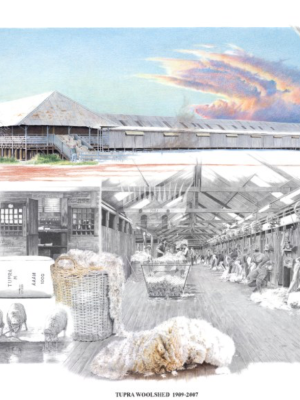 Tupra Woolshed  