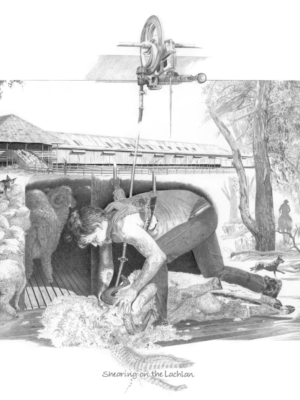 Shearing on the Lachlan 